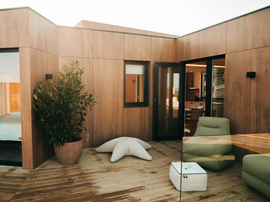 A modern interior with a wooden floor, a large potted plant, and a green sofa.