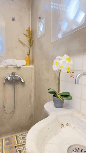 Bathroom features a shower with handheld showerhead and separate attachment, a sink with single faucet, and a potted plant.