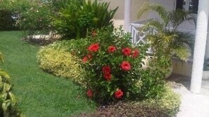 Une maison dotée d’un jardin bien entretenu, agrémenté de fleurs rouges et de diverses plantes.