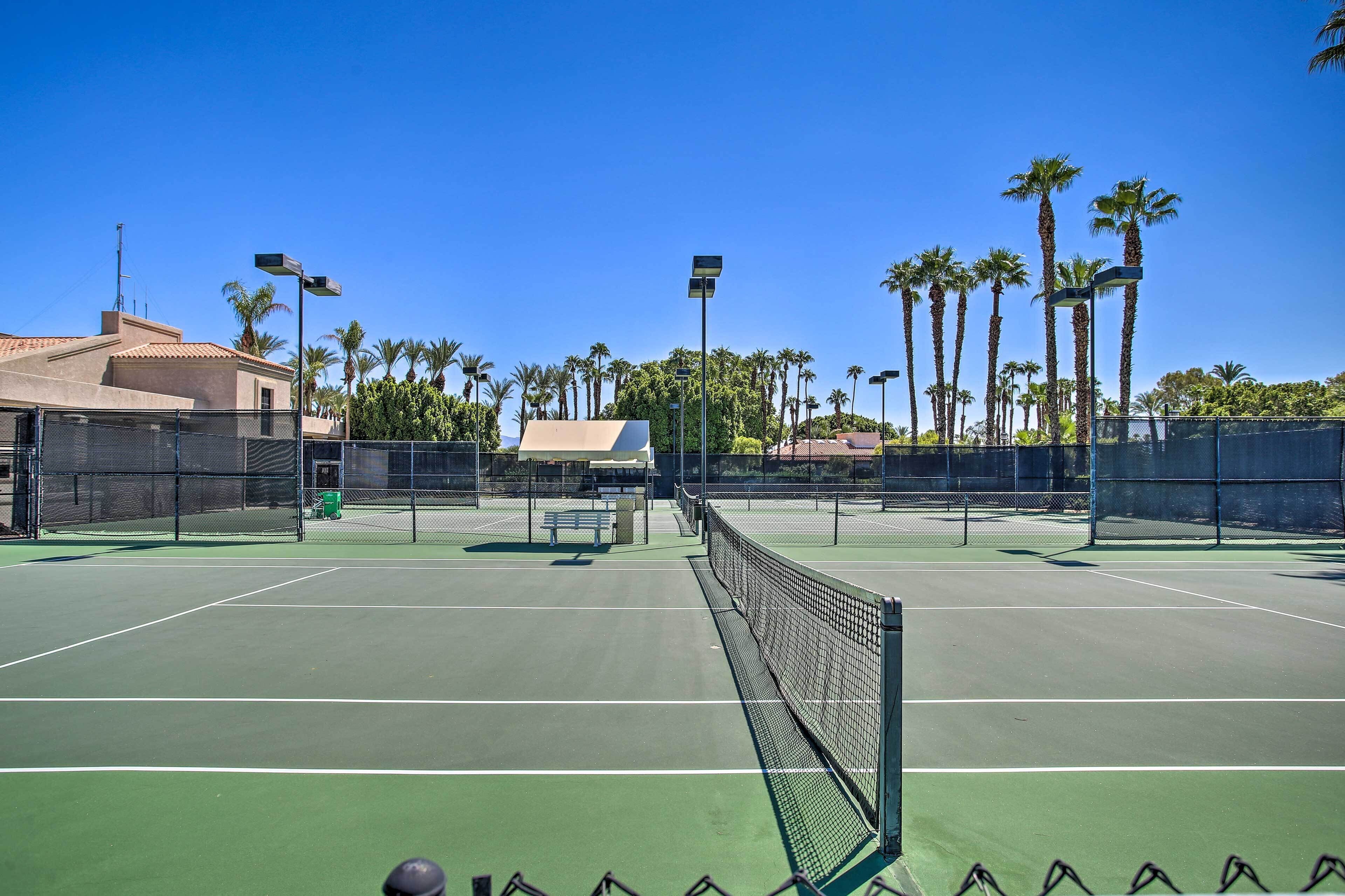 A tennis court with a net, benches, and palm trees in the background.