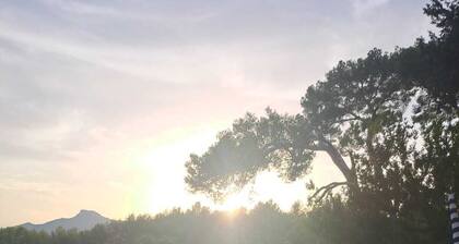 Au P'tit Bonheur Provençale