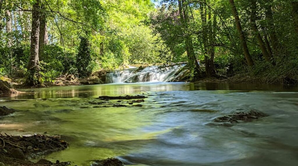 Une cascade située dans une zone boisée, avec une eau claire et une végétation luxuriante tout autour.