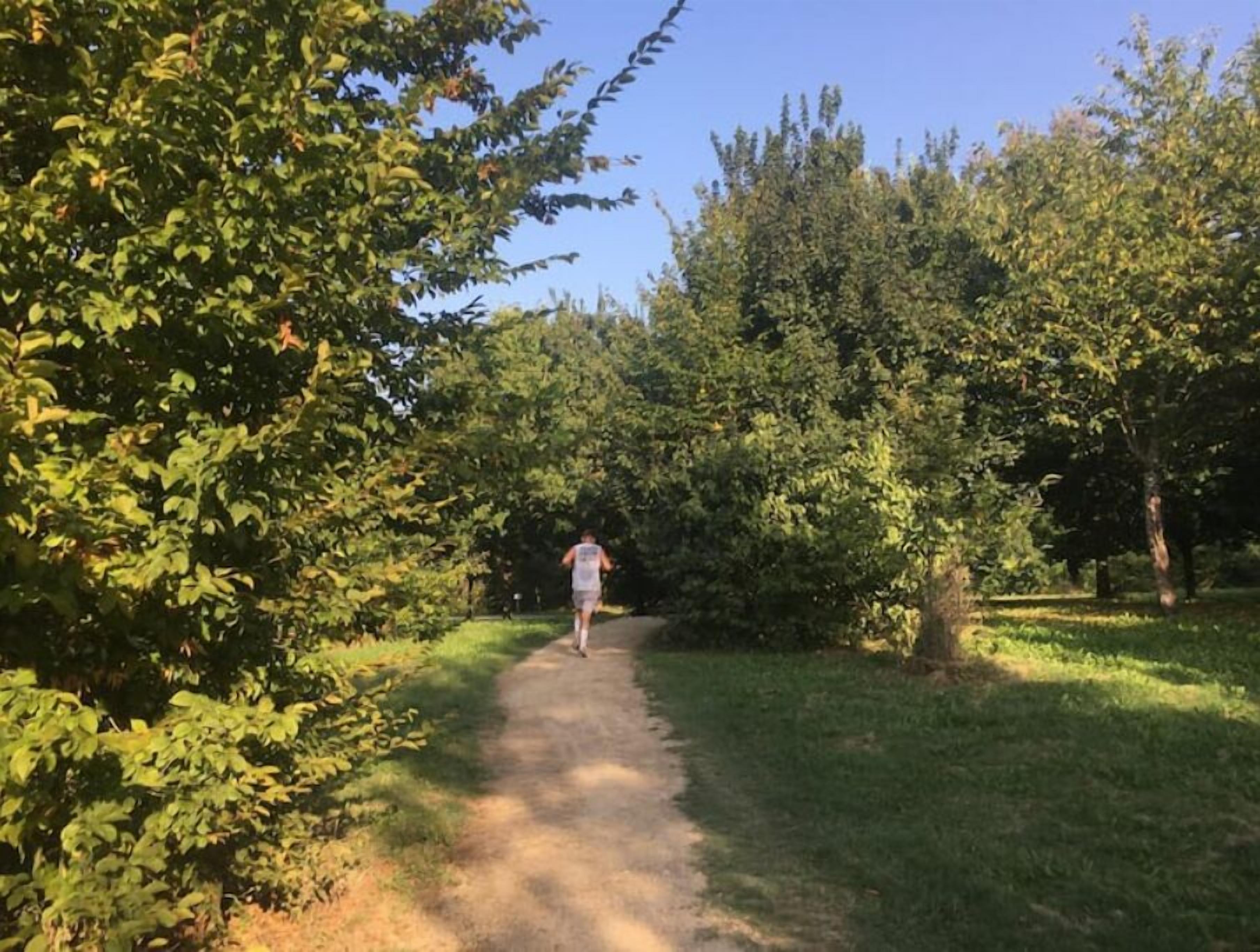Een persoon jogt over een stoffig pad, omringd door weelderige groene begroeiing.
