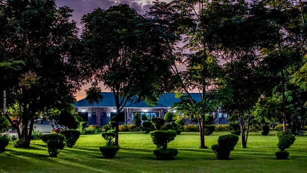 Un jardín bien cuidado con arbustos y árboles ordenadamente podados, un edificio con techo azul y un cielo despejado.