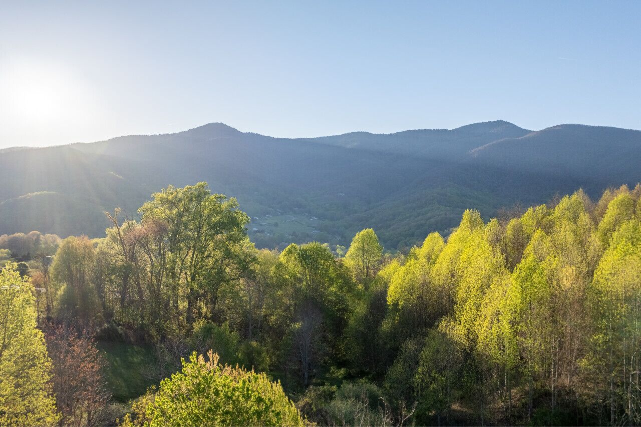 Paesaggio montuoso con fitta foresta e cielo sereno.