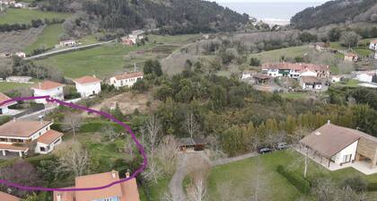 Short description of the property