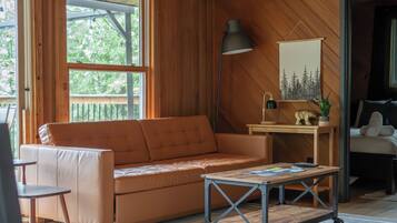 TV, fireplace, books