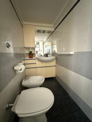 Dusche, Haartrockner, Bidet, Handtücher