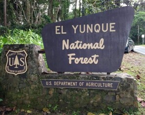 Property grounds - Penthouse Beach Paradise with amazing views (Luquillo)