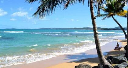 Ocean and Marina View Luxury 3bdrm Condo