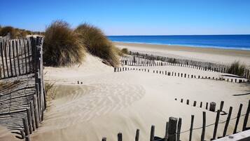 Chaises longues, serviettes de plage