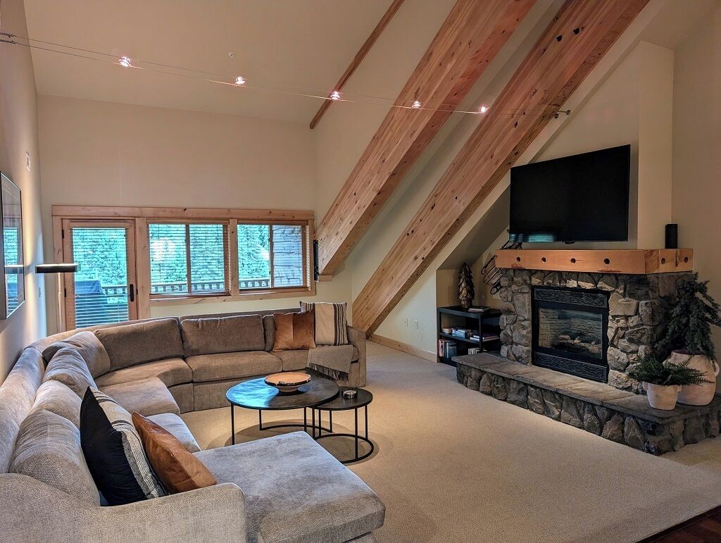 TV, fireplace, video games, DVD player