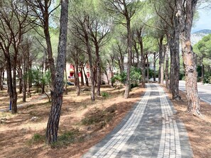 Áreas de la propiedad