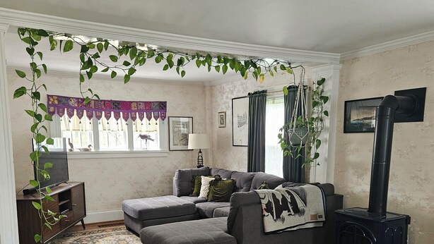 A living room with a sofa, a fireplace, a window with curtains, a rug, and a plant. - Spacious Private Guest Suite near Colgate (Earlville)