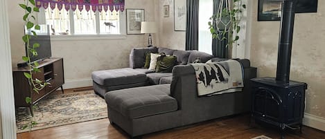 TV connectée, cheminée, livres