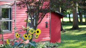 A red house with a window, a door, and a small shed in a garden with sunflowers. - Spacious Private Guest Suite near Colgate (Earlville)
