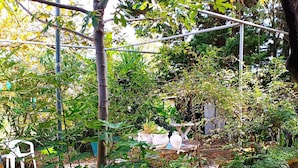 Un jardin avec des allées pavées, une pergola et diverses plantes.