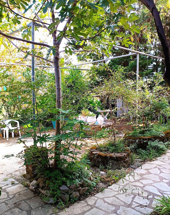 Appartement Confort, accessible aux personnes à mobilité réduite, vue cour intérieure | Terrasse/Patio
