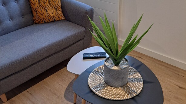 A modern living room with a grey sofa, a small round table with a plant, and a yellow chair. - Appartement Refait à Neuf Tout Équipé en RDC Avec Jardin Terrasse ,barbecue (Avrillé)