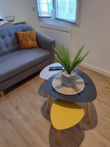 Appartement Refait à Neuf Tout Équipé en RDC Avec Jardin Terrasse ,barbecue