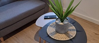 Appartement Refait à Neuf Tout Équipé en RDC Avec Jardin Terrasse ,barbecue