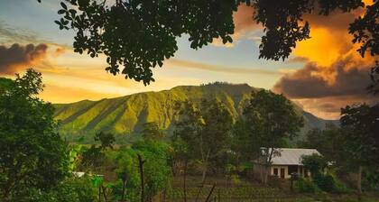 Tresno Sembalun Rinjani- Standar room #3