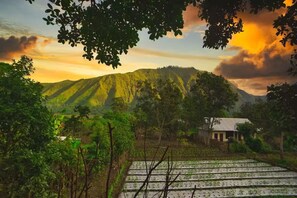 Property grounds - Tresno Sembalun Rinjani- Standar room #6 (Nusa Tenggara Bar.)