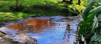 Cabanas Loft Paraíso