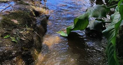 Cabanas Loft ParaĂso