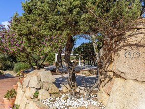A landscaped garden with a variety of trees, including a prominent pine tree, surrounded by rocks and pebbles. - Hotiday Room Collection - Porto Cervo (Arzachena)