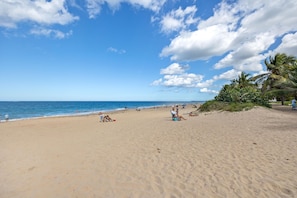 A wide sandy beach with palm trees and a clear blue sky. - Otium Rentals Casa Elena Getaway (San Juan)