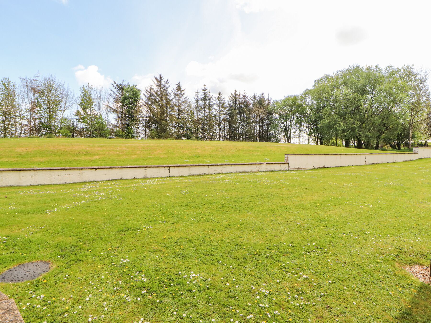 A grassy park area with a concrete pathway and trees in the background.
