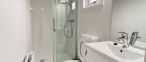 A modern bathroom with a glass-enclosed shower, a white toilet, and a vanity with a sink and mirror.