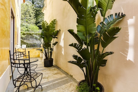 Basic Room, 1 King Bed | Terrace/patio