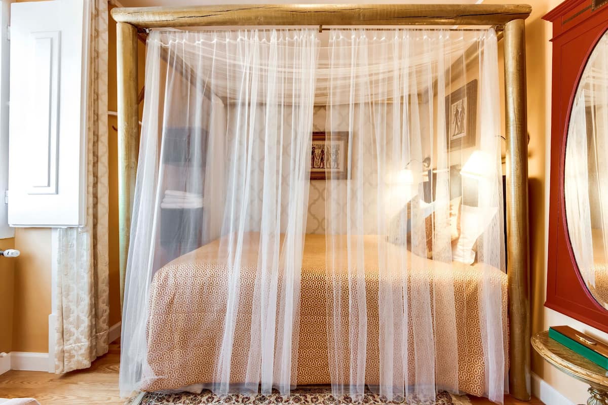 Basic Room, 1 Double Bed