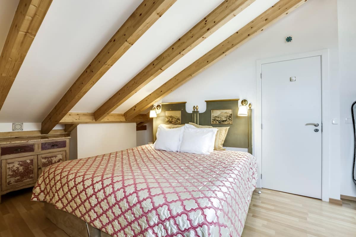 Basic Room, 1 King Bed with Sofa bed