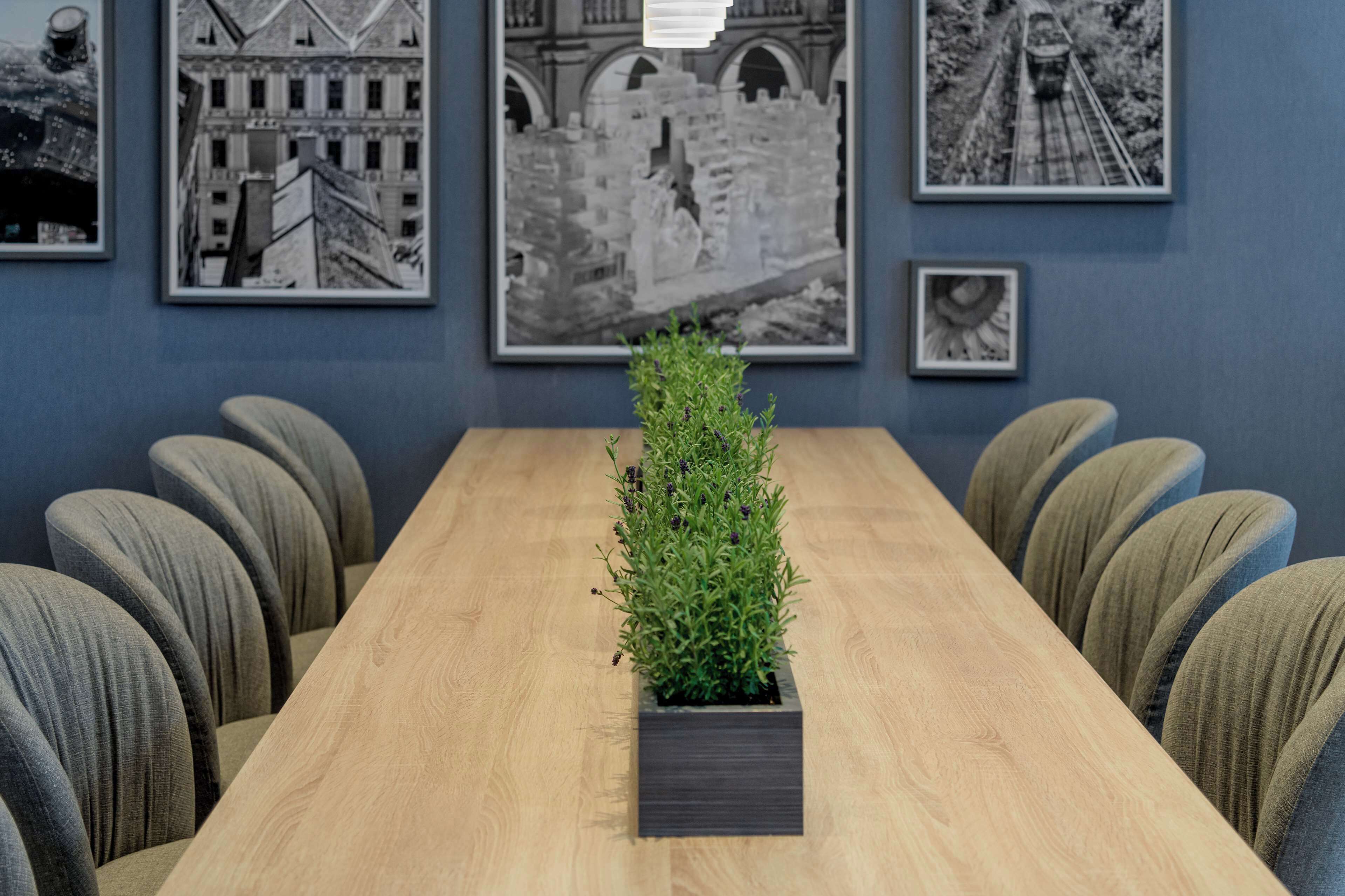 Un salón de conferencias con una larga mesa, seis sillas y una planta en maceta en el centro.