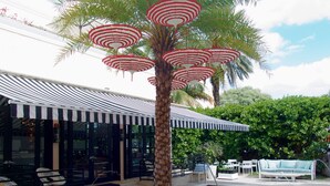 A poolside area with a palm tree, lounge chairs, and a covered seating area. - Roami at Hotel Astor (Miami Beach)