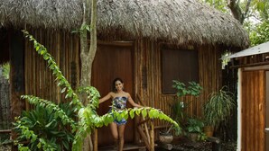 Une structure en bois surmontée d’un toit de chaume, entourée d’une végétation luxuriante et de plantes en pot.