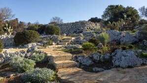 Un sentier de pierres qui monte une colline par une série de marches, bordé de différentes plantes et arbres.