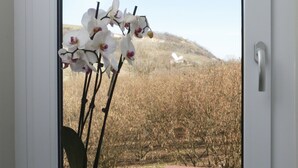 Une fenêtre donnant sur un champ et une colline, une plante en pot et un flacon de diffuseur à roseaux posés sur le rebord de la fenêtre.