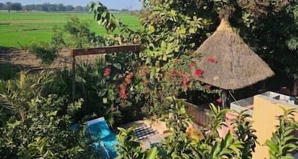 Sustainable Serenity: Eco Village Resort Introduces Eco-Friendly Pool Oasis