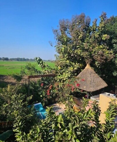 Sustainable Serenity: Eco Village Resort Introduces Eco-Friendly Pool Oasis