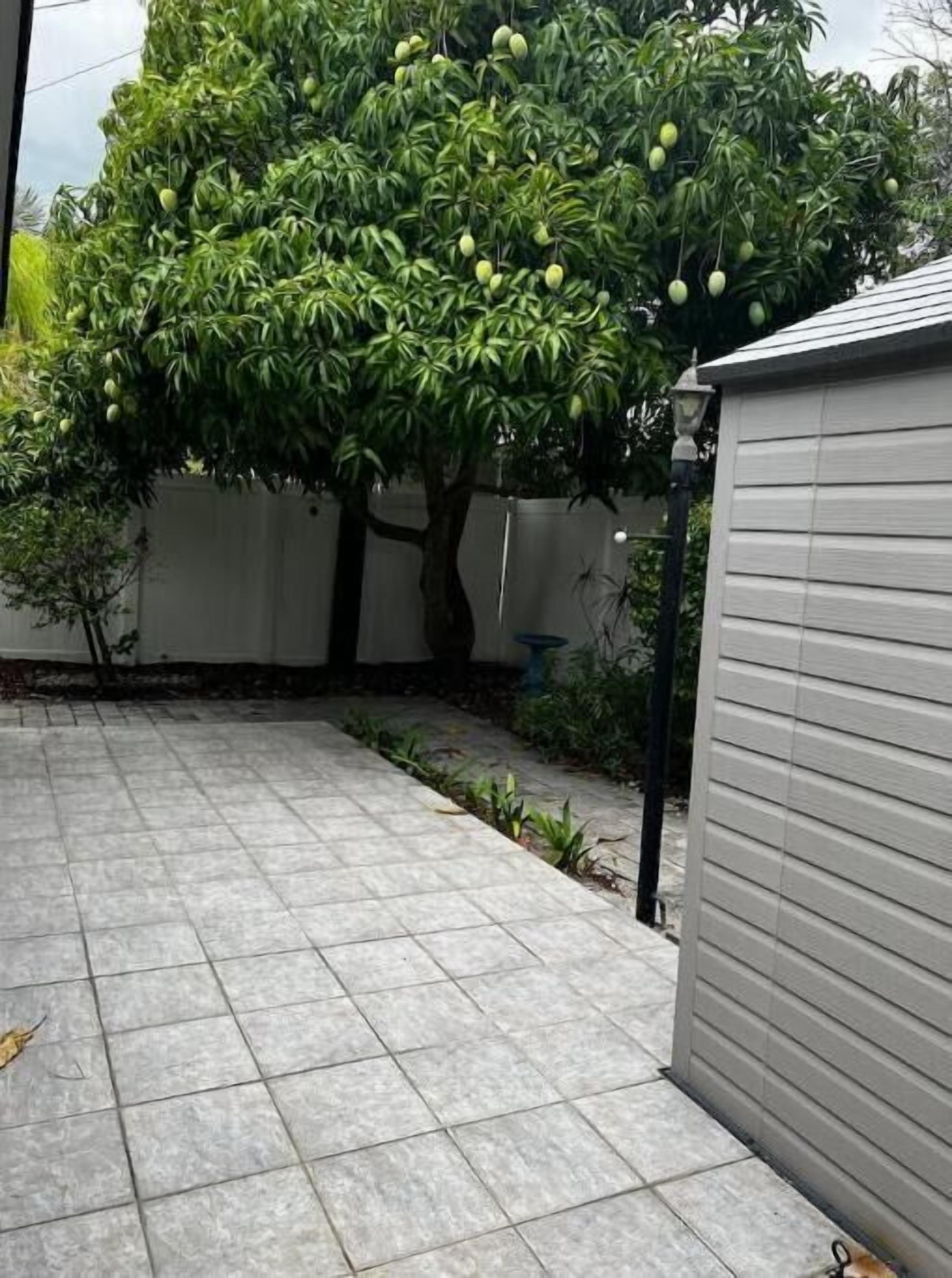 A patio area with a tiled floor, a tree with green leaves and unripe fruit, and a white building with horizontal siding.