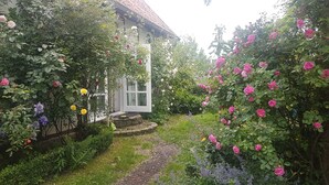 Um jardim com um caminho que leva a um edifício branco com uma janela.