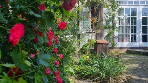 Um jardim com diversas flores, uma casa rústica com telhado de telhas e um céu claro.