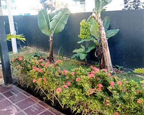 Property grounds - Suítes do Rolim (Vila Canaa Arraial do Cabo)