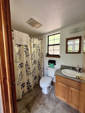 Serviettes fournies, savon, papier toilette