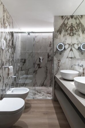Shower, hair dryer, bidet, towels
