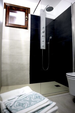Dusche, Haartrockner, Bidet, Handtücher